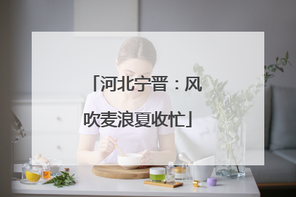 河北宁晋：风吹麦浪夏收忙